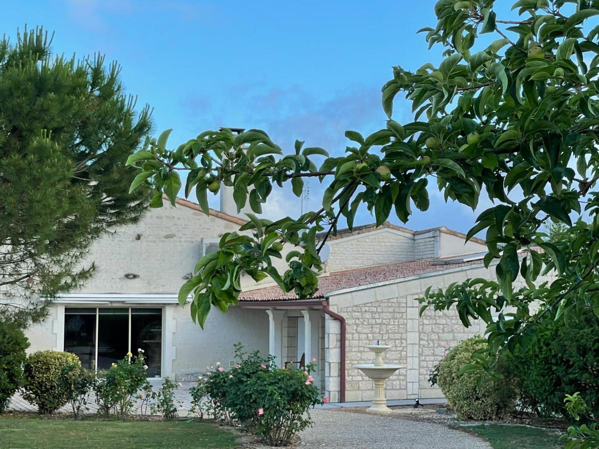 Domaine Du Clos Pallacien Paille Ngoại thất bức ảnh